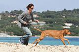 ADULTE ET CHIEN 035